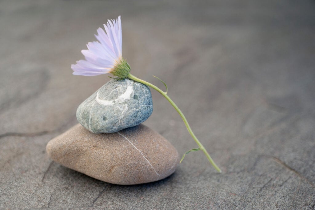 Holistic spa and meditation art flower and stones